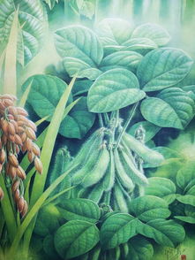 難得一見的2.5米植物科學(xué)畫精品巨作 禾本科雜草（草）震撼亮相中國館